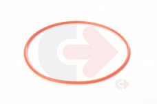 TĚSNĚNÍ TERMOSTATU CAT 2424312